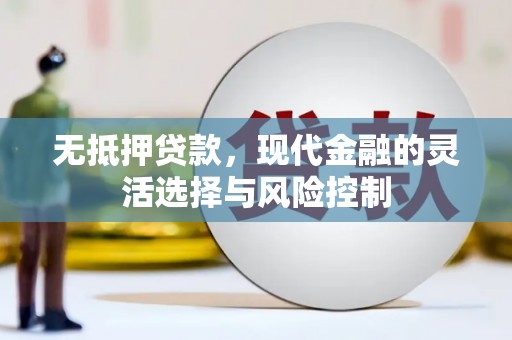 保税区无抵押贷款，现代金融的灵活选择与风险控制