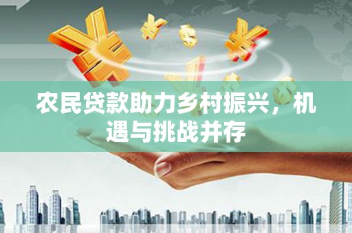 保税区农民贷款助力乡村振兴，机遇与挑战并存
