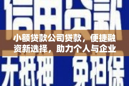 保税区小额贷款公司贷款，便捷融资新选择，助力个人与企业成长