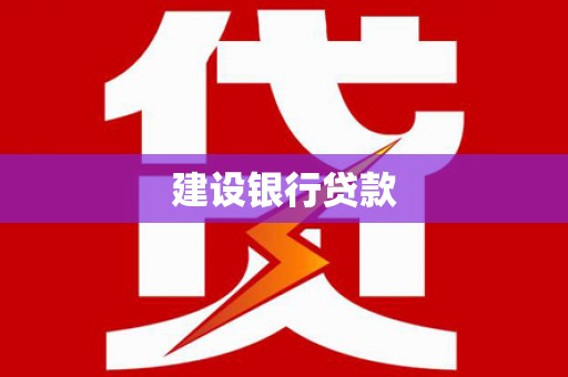 保税区建设银行贷款