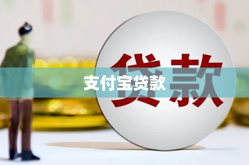 保税区支付宝贷款