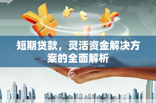 保税区短期贷款，灵活资金解决方案的全面解析