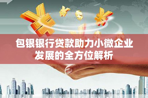 保税区包银银行贷款助力小微企业发展的全方位解析