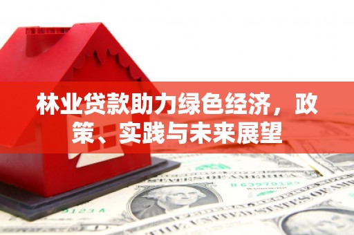 保税区林业贷款助力绿色经济，政策、实践与未来展望
