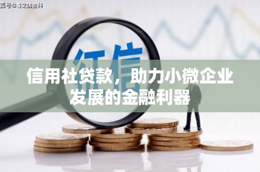 保税区信用社贷款，助力小微企业发展的金融利器