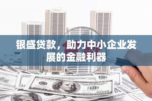 保税区银盛贷款，助力中小企业发展的金融利器