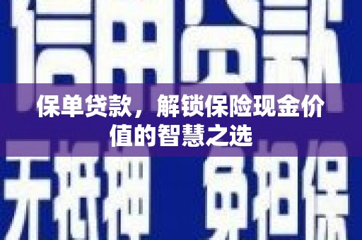 保税区保单贷款，解锁保险现金价值的智慧之选