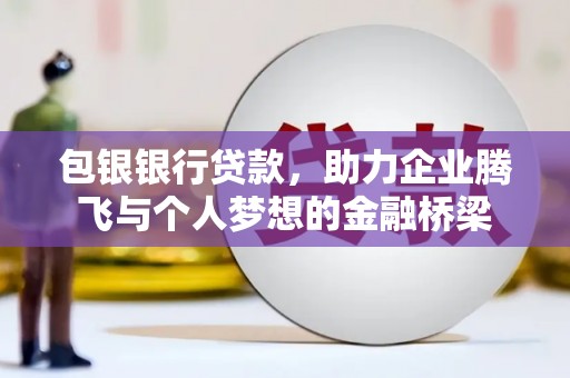 保税区包银银行贷款，助力企业腾飞与个人梦想的金融桥梁