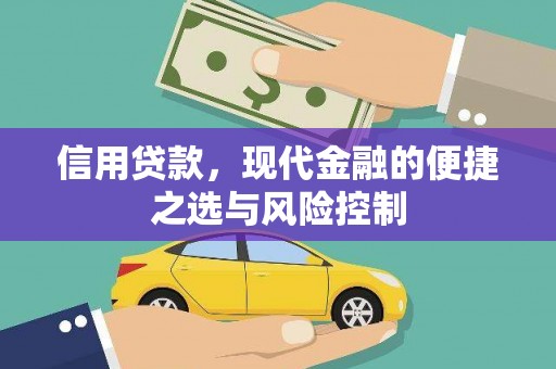 保税区信用贷款，现代金融的便捷之选与风险控制