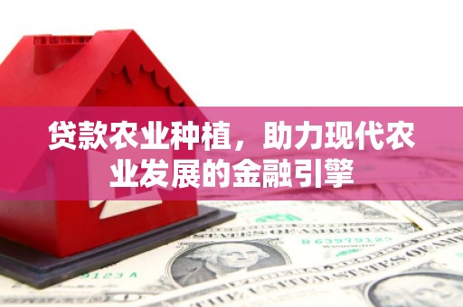 保税区贷款农业种植，助力现代农业发展的金融引擎