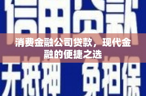 保税区消费金融公司贷款，现代金融的便捷之选