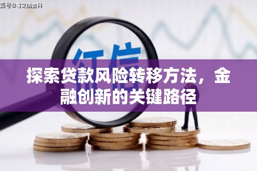 保税区探索贷款风险转移方法，金融创新的关键路径