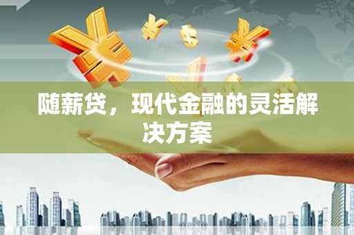 保税区随薪贷，现代金融的灵活解决方案