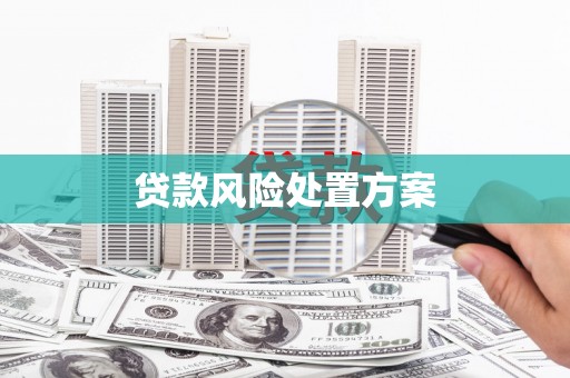 保税区贷款风险处置方案