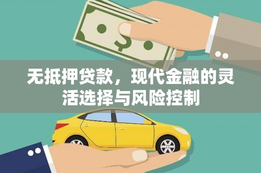 保税区无抵押贷款，现代金融的灵活选择与风险控制