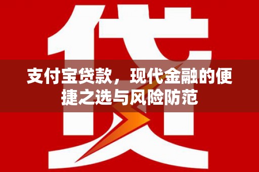 保税区支付宝贷款，现代金融的便捷之选与风险防范