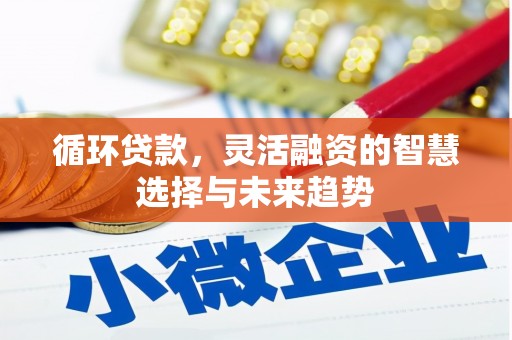 保税区循环贷款，灵活融资的智慧选择与未来趋势