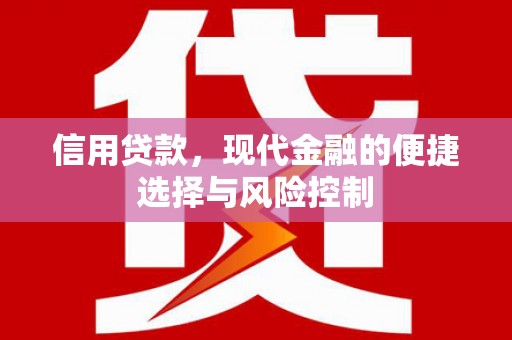 保税区信用贷款，现代金融的便捷选择与风险控制