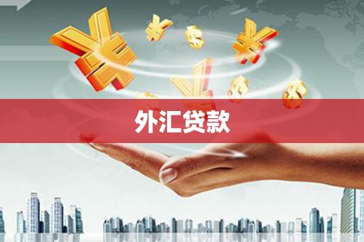 保税区外汇贷款
