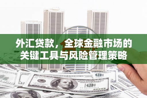 保税区外汇贷款，全球金融市场的关键工具与风险管理策略