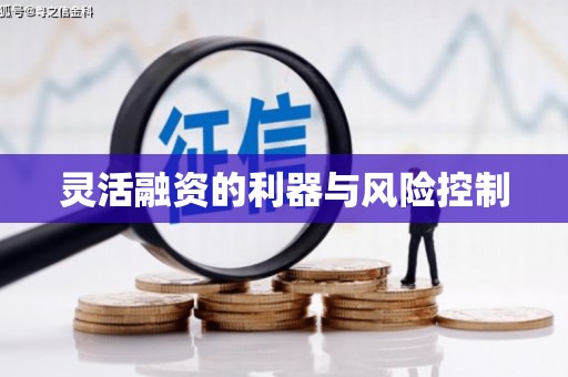 保税区灵活融资的利器与风险控制