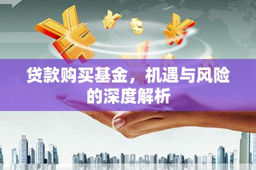 保税区贷款购买基金，机遇与风险的深度解析