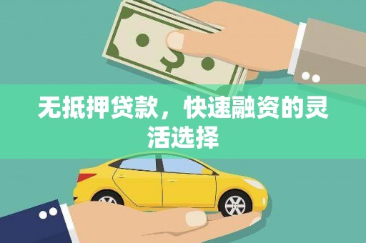 保税区无抵押贷款，快速融资的灵活选择