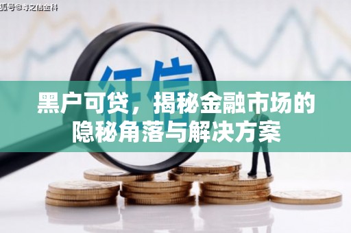 保税区黑户可贷，揭秘金融市场的隐秘角落与解决方案