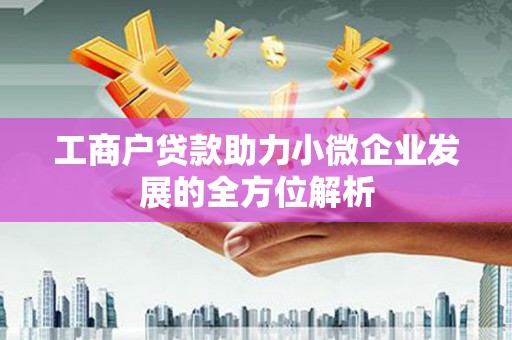 保税区工商户贷款助力小微企业发展的全方位解析