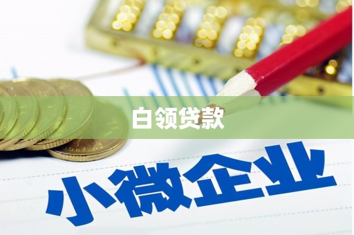 保税区白领贷款