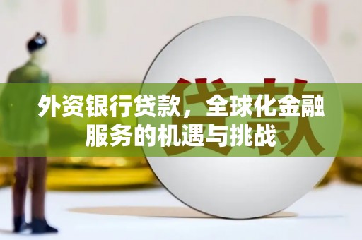 保税区外资银行贷款，全球化金融服务的机遇与挑战
