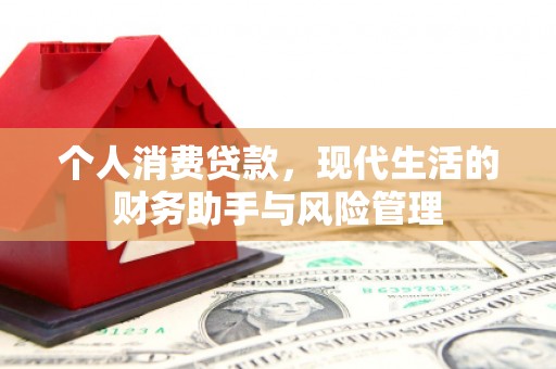 保税区个人消费贷款，现代生活的财务助手与风险管理