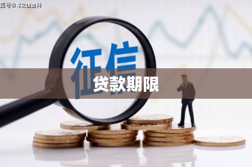 保税区贷款期限