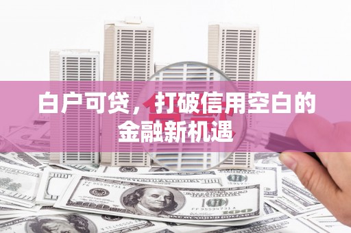 保税区白户可贷，打破信用空白的金融新机遇