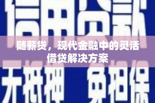 保税区随薪贷，现代金融中的灵活借贷解决方案