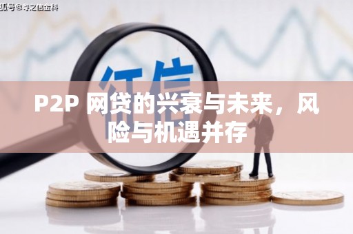 保税区P2P 网贷的兴衰与未来，风险与机遇并存