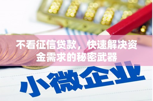 保税区不看征信贷款，快速解决资金需求的秘密武器