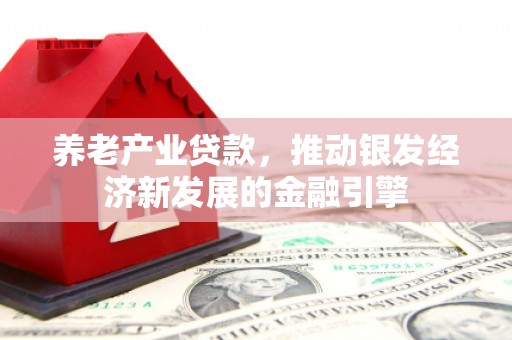 保税区养老产业贷款，推动银发经济新发展的金融引擎