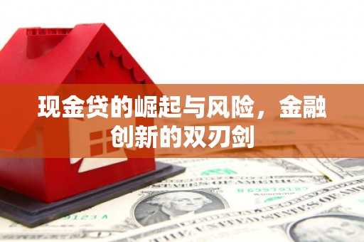 保税区现金贷的崛起与风险，金融创新的双刃剑