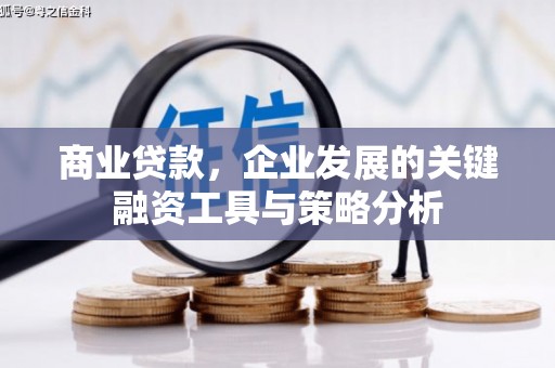 保税区商业贷款，企业发展的关键融资工具与策略分析