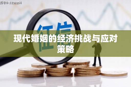 保税区现代婚姻的经济挑战与应对策略