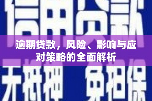 保税区逾期贷款，风险、影响与应对策略的全面解析