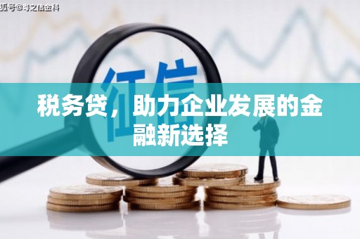保税区税务贷，助力企业发展的金融新选择