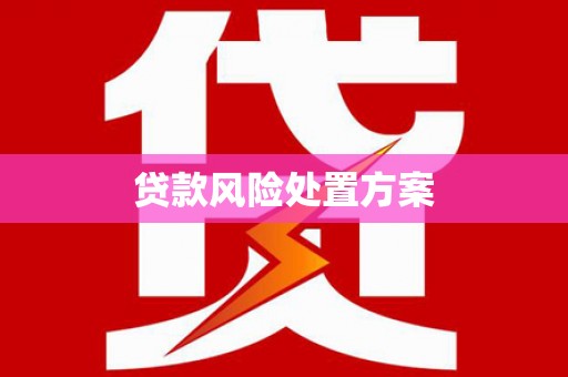 保税区贷款风险处置方案