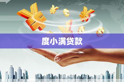 保税区度小满贷款