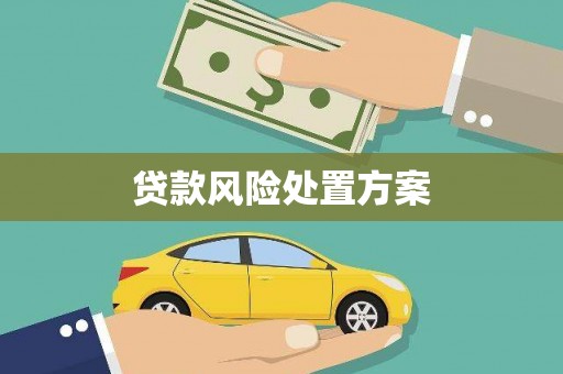 保税区贷款风险处置方案