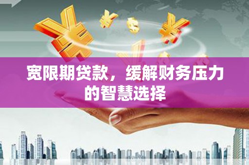 保税区宽限期贷款，缓解财务压力的智慧选择
