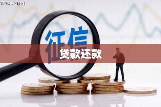 保税区贷款还款