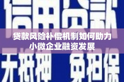 保税区贷款风险补偿机制如何助力小微企业融资发展