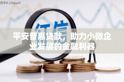 保税区平安普惠贷款，助力小微企业发展的金融利器